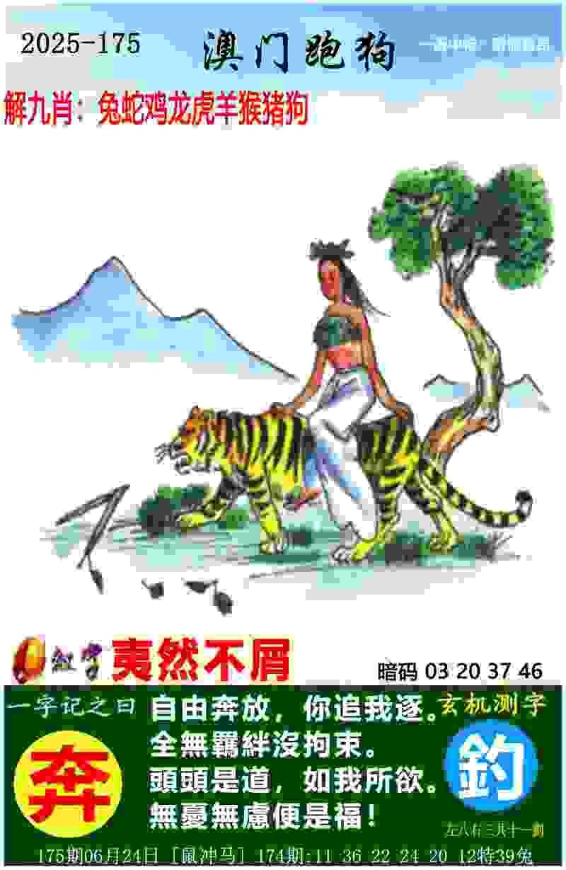 >2025年澳门历史记录